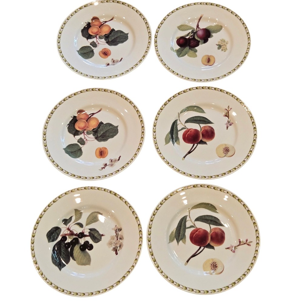 Queen's Hookers Fruit Salad Plates 8.25" Set of 6 White Bone China Botanical